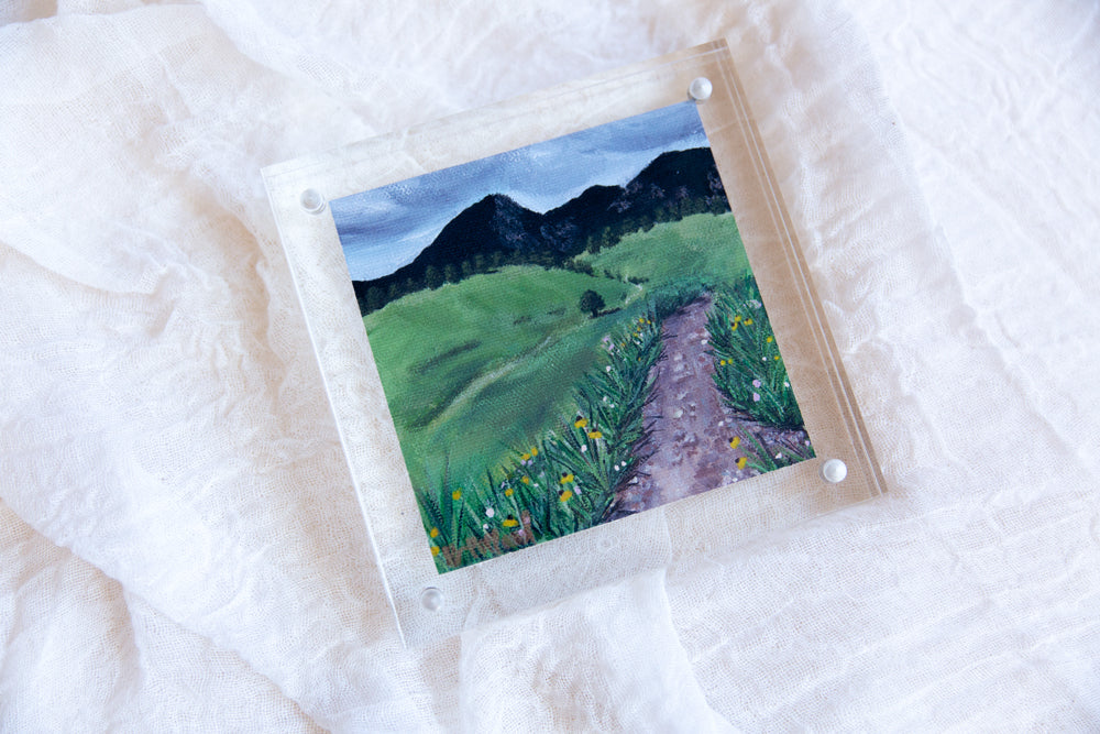 Acrylic Framed Flat Irons Vista Print