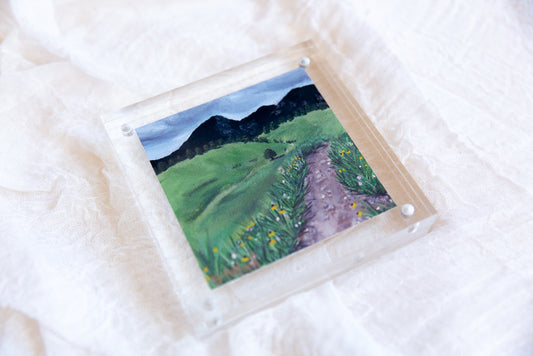 Acrylic Framed Flat Irons Vista Print