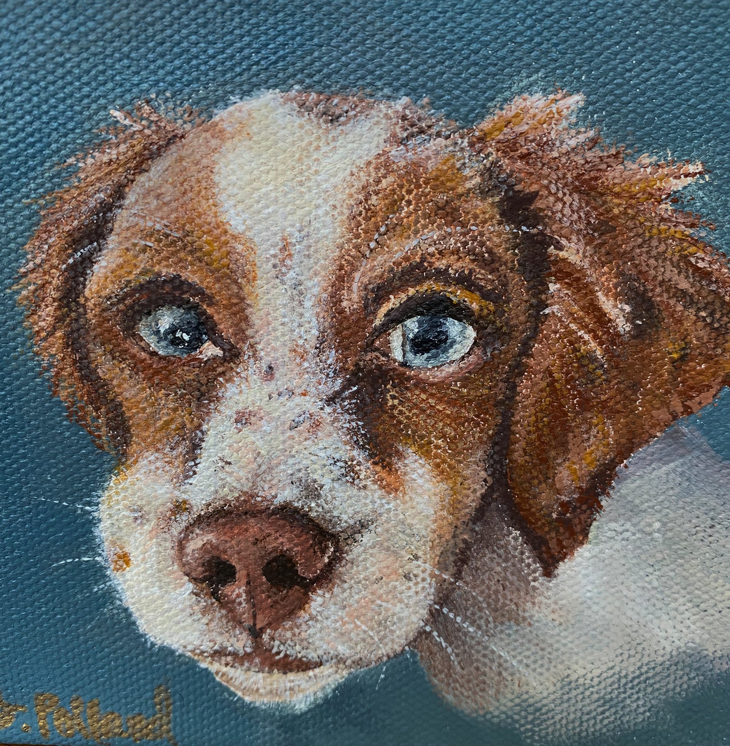 Pet Portrait Commission