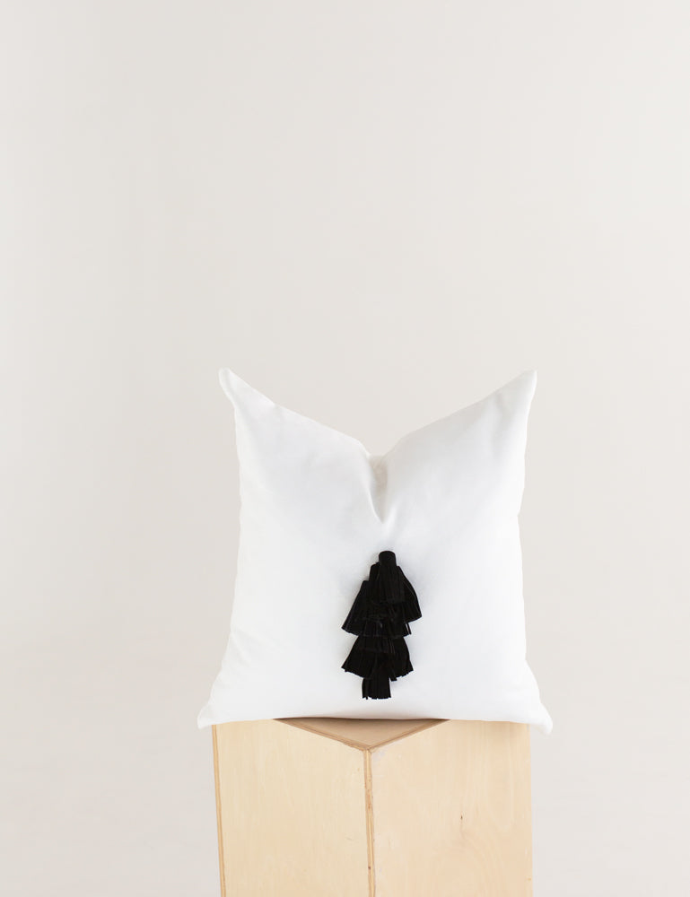 Suede Tassel Pillow