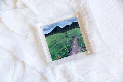 Acrylic Framed Flat Irons Vista Print
