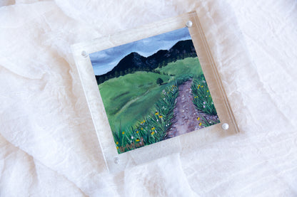 Acrylic Framed Flat Irons Vista Print