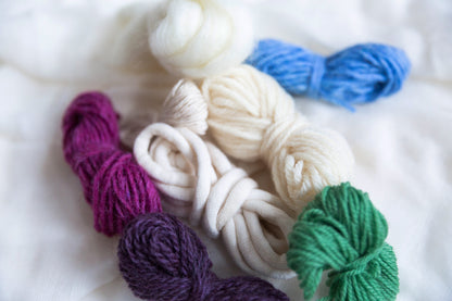 The Daisy Gift Bundle